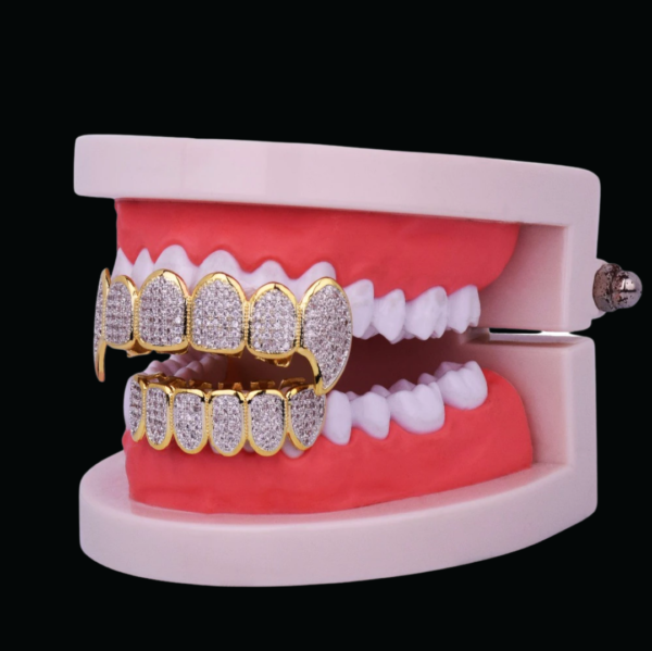 Micro Pave Fuchsia Iced Out Diamond Grillz